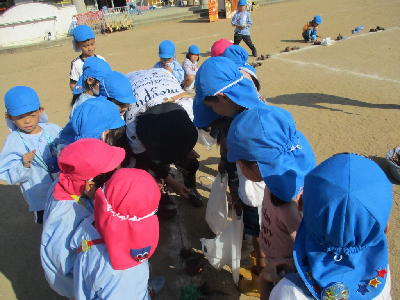 掘った芋を数える園児