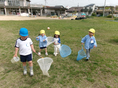 むしとりをする園児