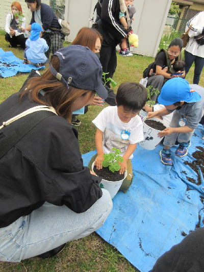 親子で苗植えをする園児