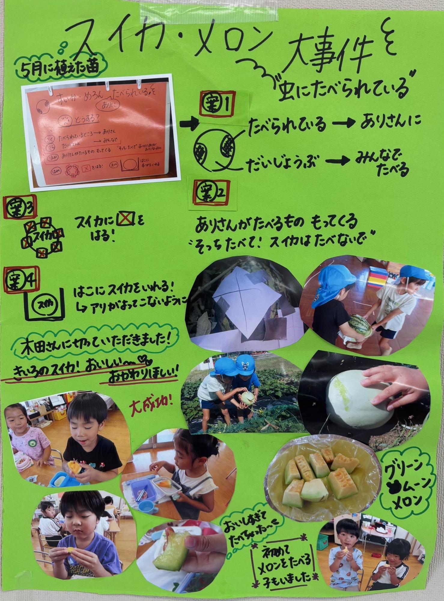 ドキュメンテーション
