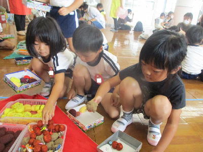 お弁当を詰める年中児