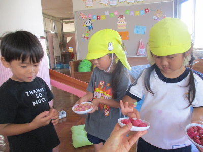 作ったお団子を触る年少児