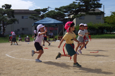 しっぽとりをする年中児