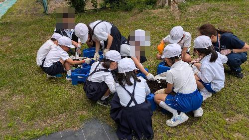 2年生が土を入れている様子