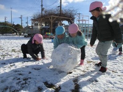 大きな雪だるまを作ろうとしている幼児