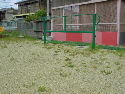 usagigoyamae