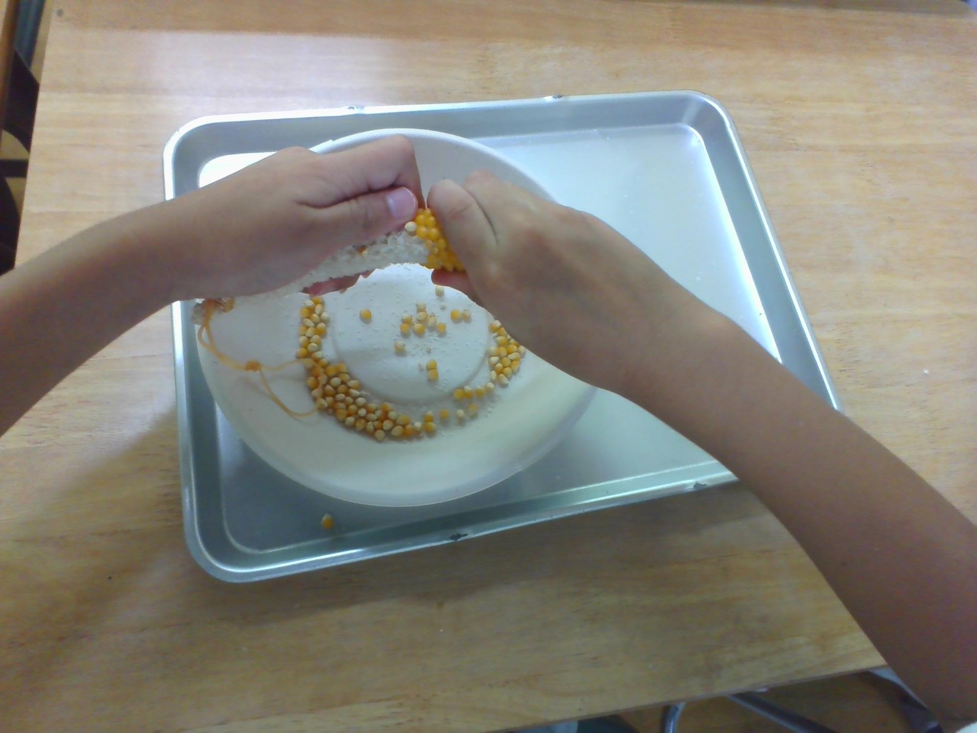 もいでいる様子