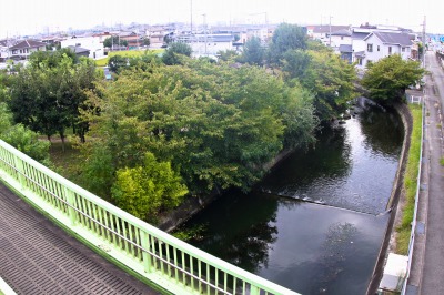 養田穴田公園の横