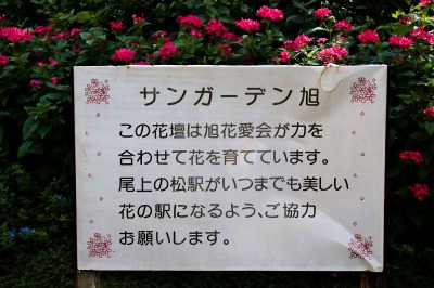 花壇の整備