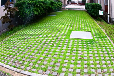 保健室横の芝生