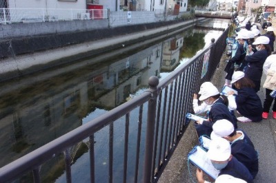 まちたんけんで観察中
