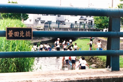 養田川の探索