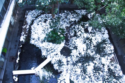 雪化粧のビオトープ