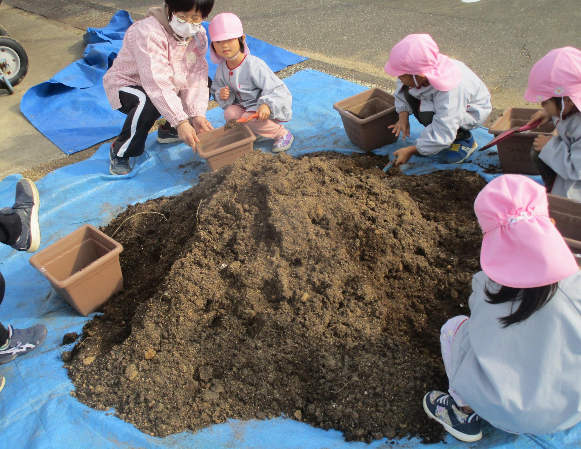 土を植木鉢に入れる。