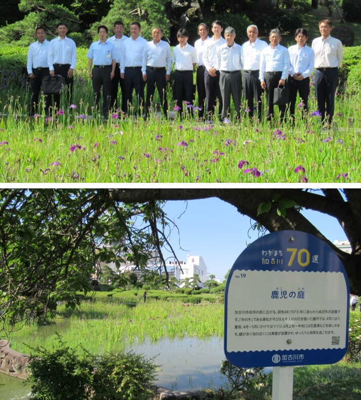 鹿児の庭の菖蒲園