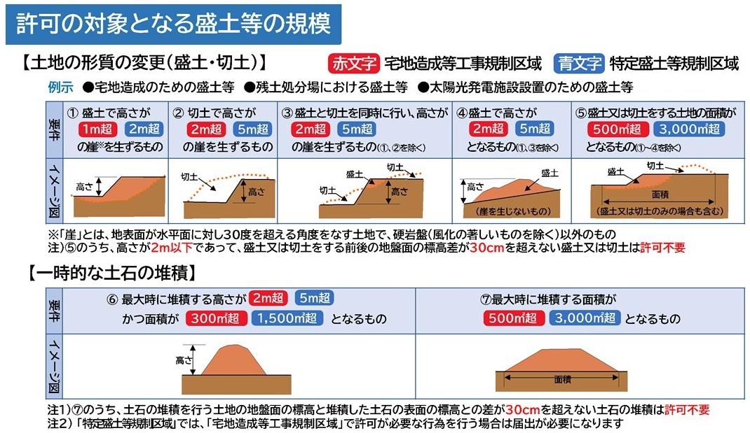 きせいたいしょうこうい