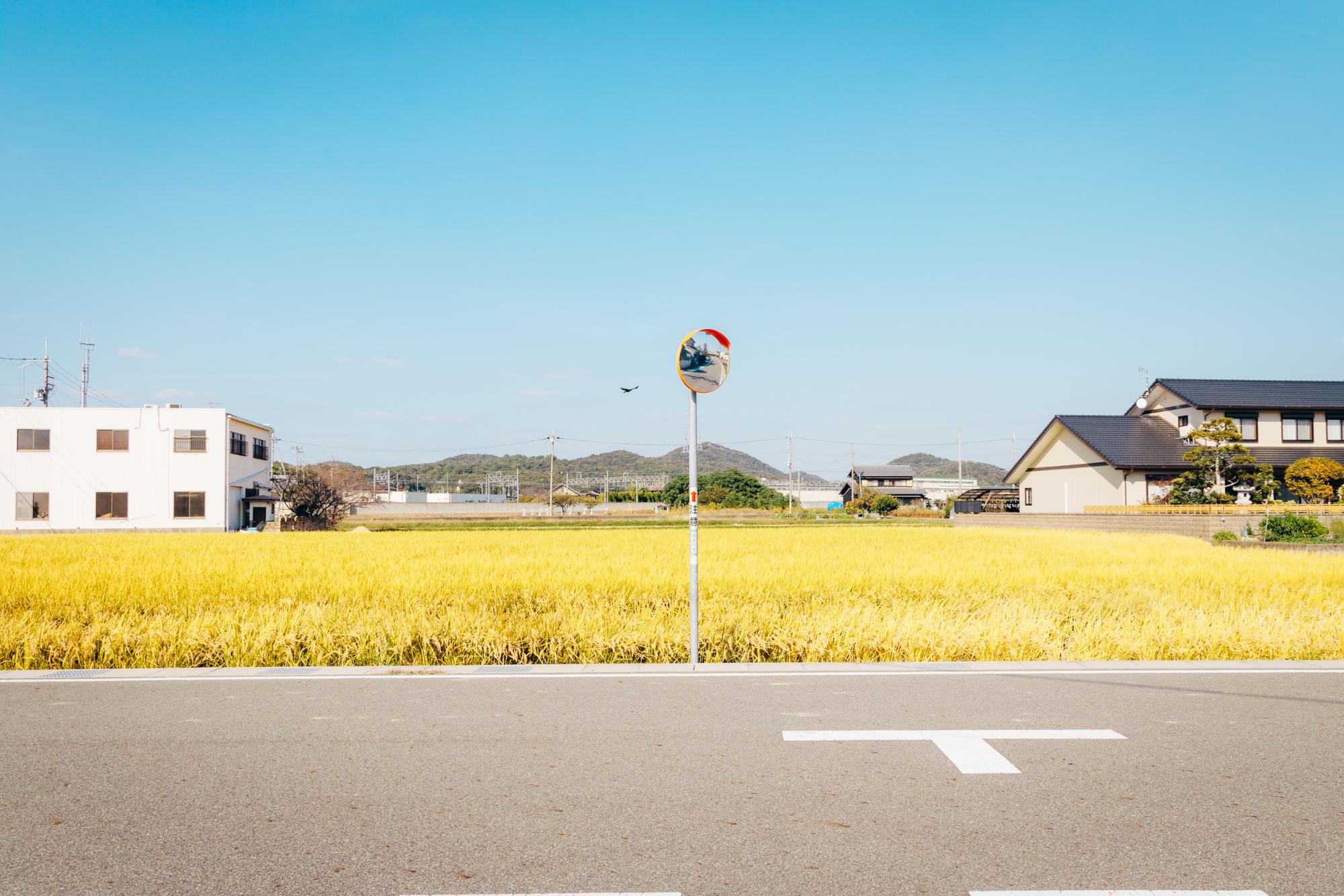 八幡地区田園風景