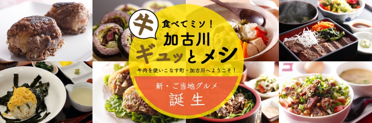 加古川ギュッとメシの画像