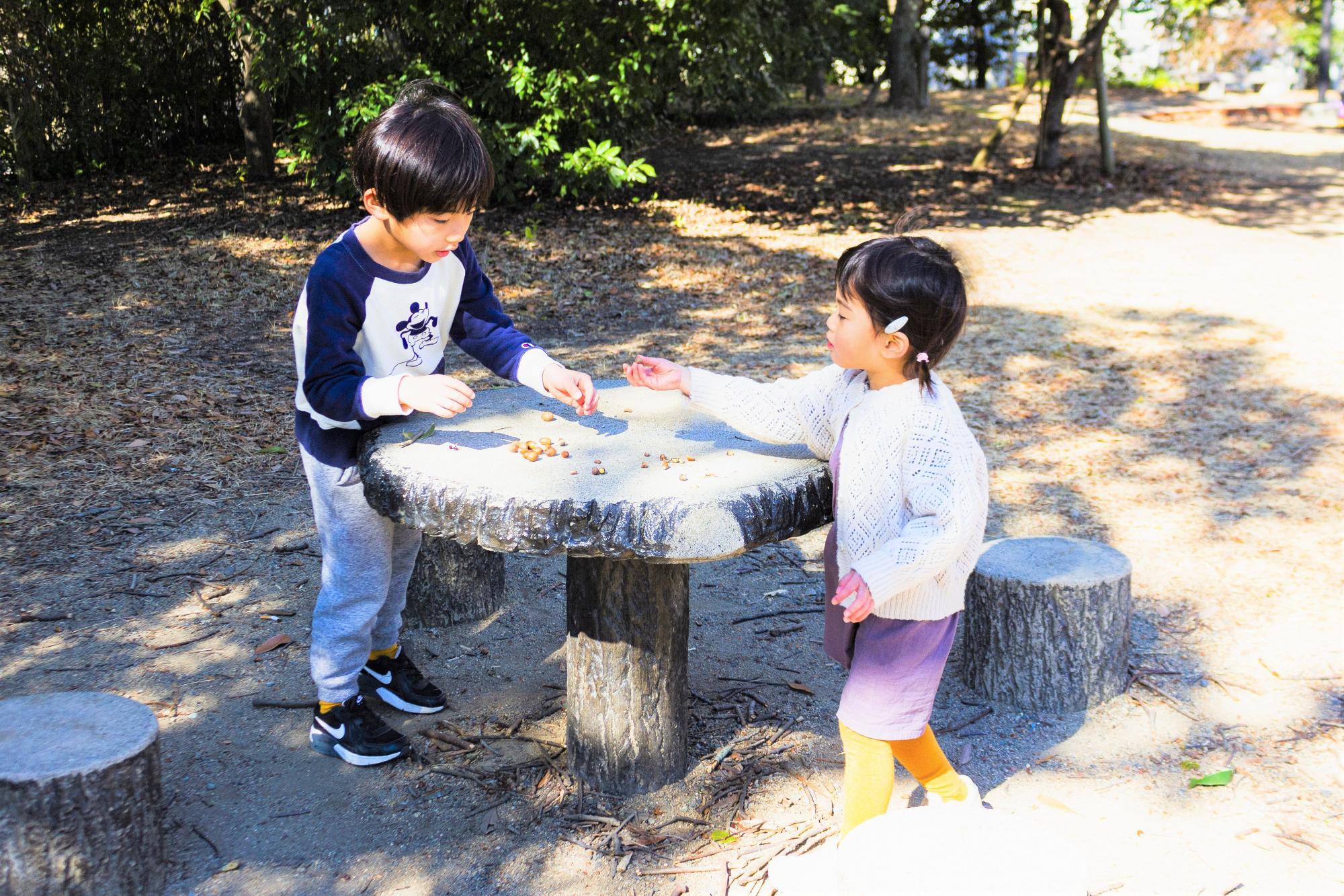 どんぐりに触れる子どもたち