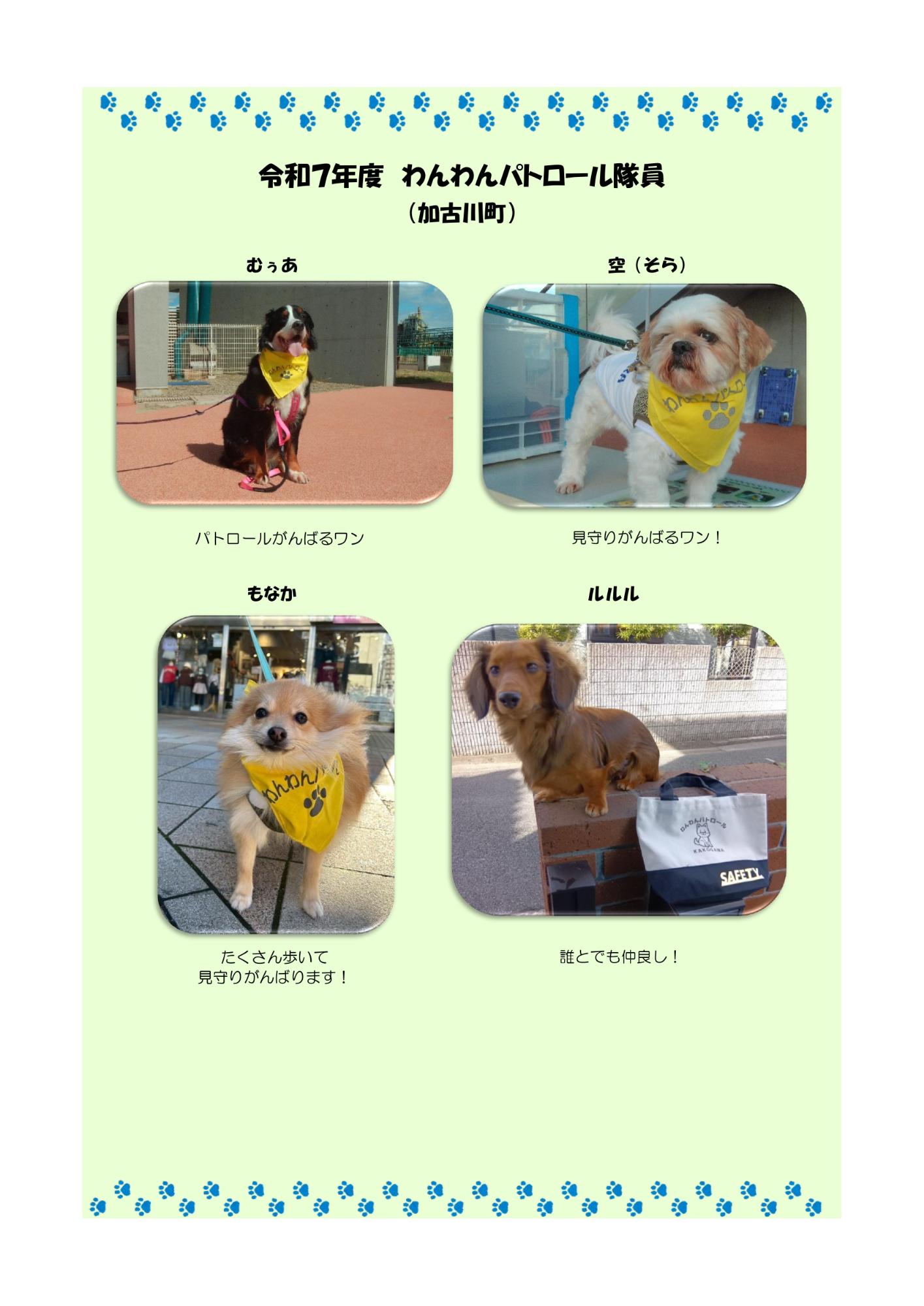 わんわんパトロール隊員紹介