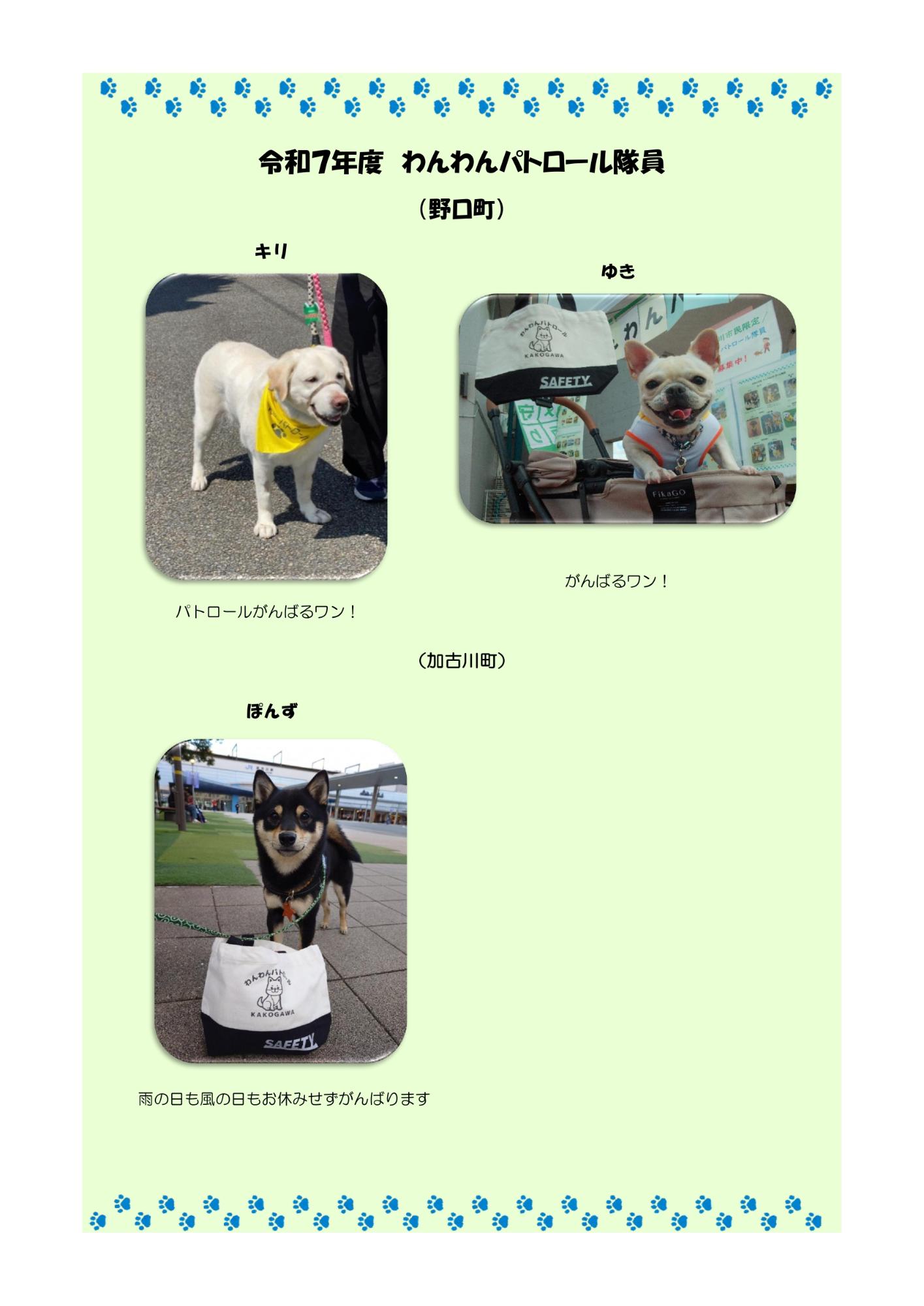 わんわんパトロール隊員紹介