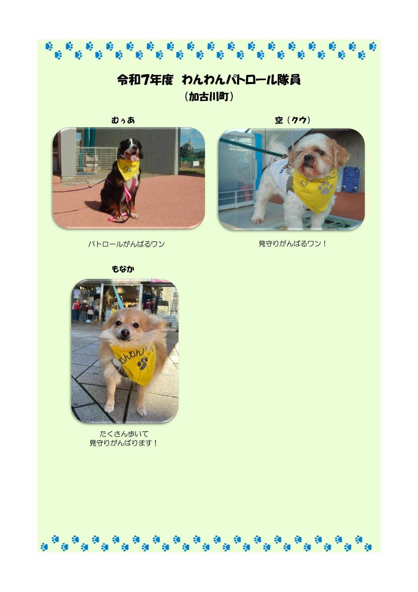 わんわんパトロール隊員紹介