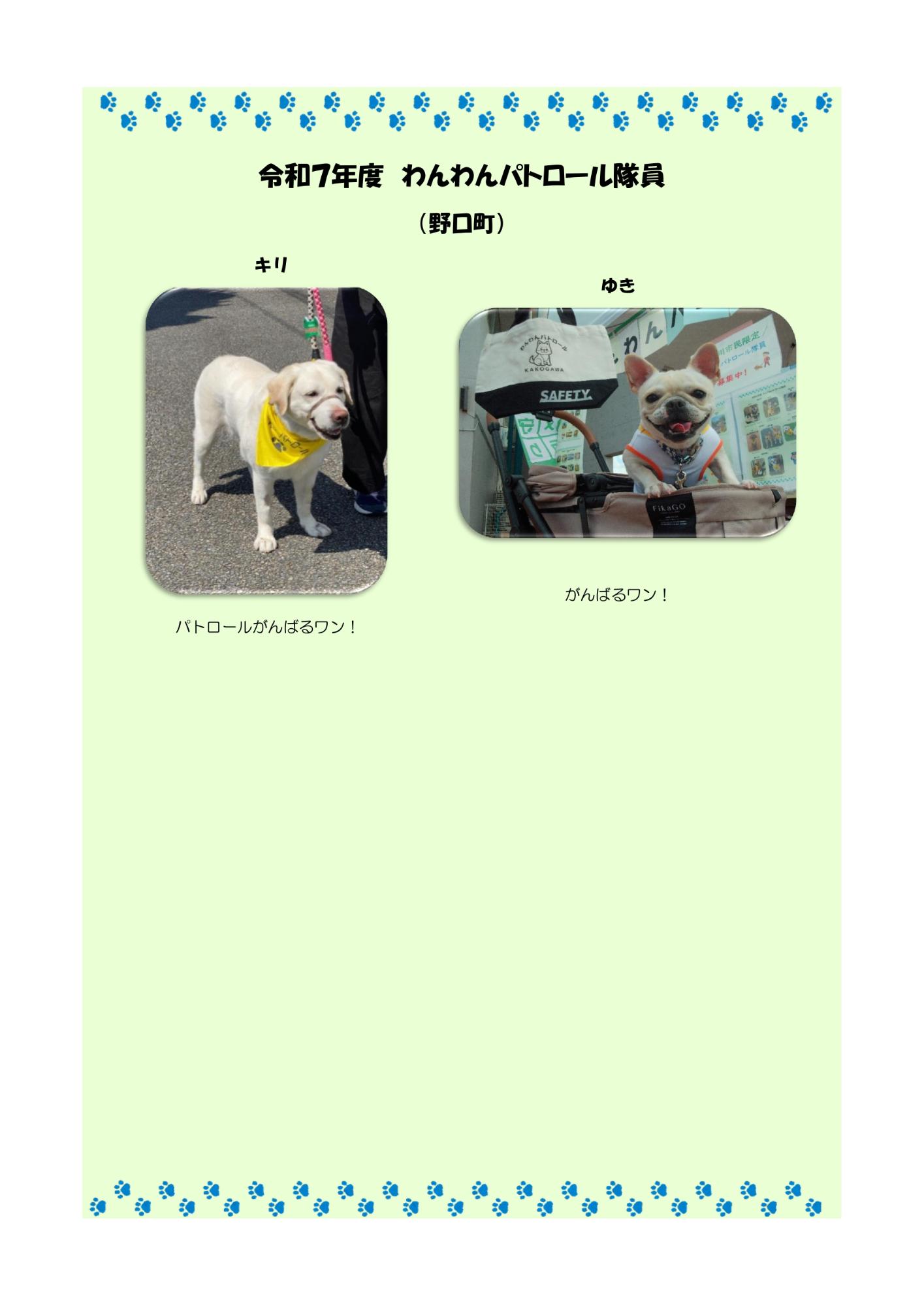 わんわんパトロール隊員紹介
