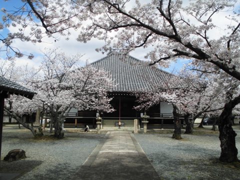 教信寺境内