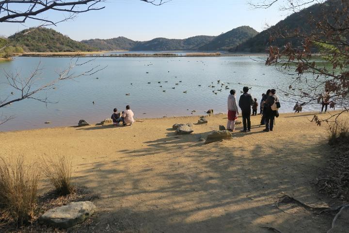 観察小屋正面の水位