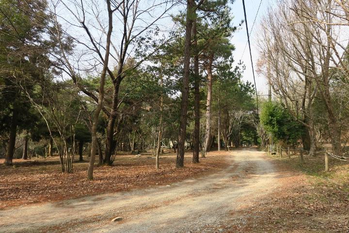 場内の遊歩道