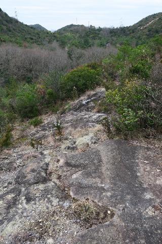 登山道(岩盤道)