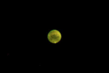 10月6日の火星の拡大