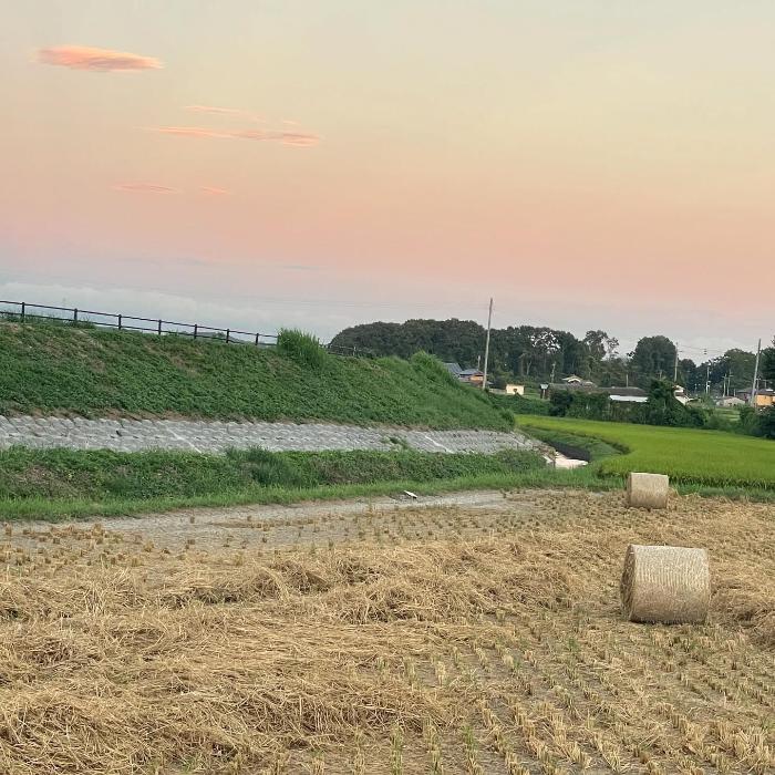 稲刈り後の風景