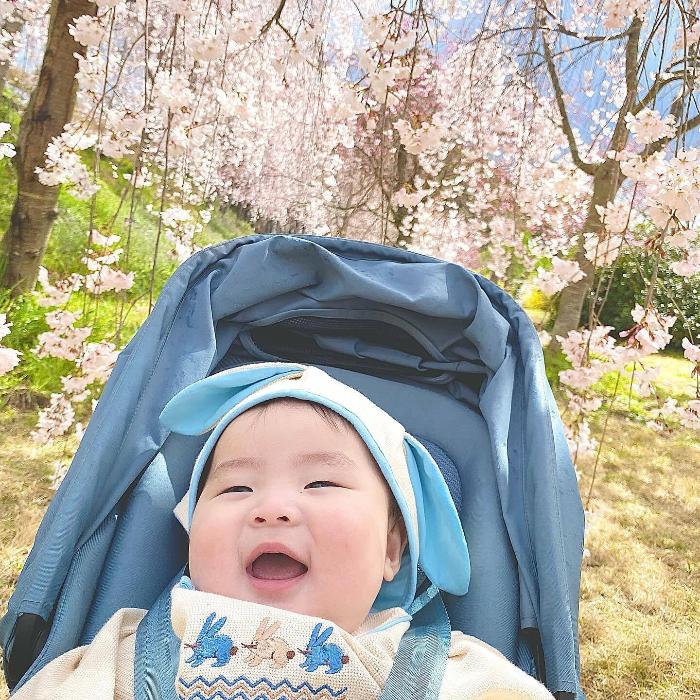 厄除八幡宮でお花見