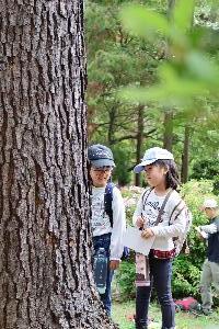 家族の木を決める姉妹