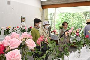 友達同士でバラを眺める参加者