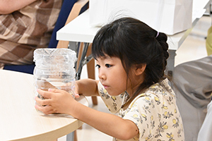 鈴虫を観察する女の子