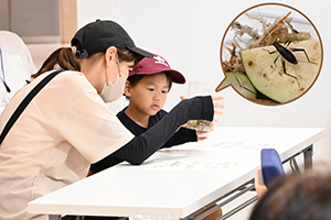 鈴虫を観察する親子