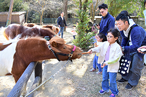 ポニーに人参を差し出す参加者
