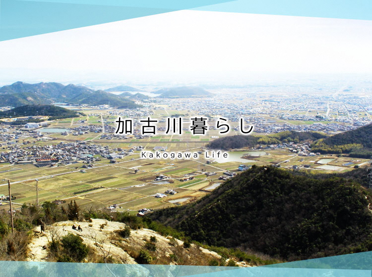 kakogawalife_sptop_1