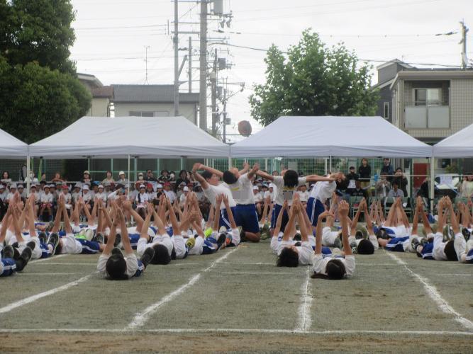 ダンス花