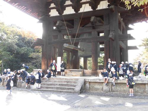 修学旅行の写真