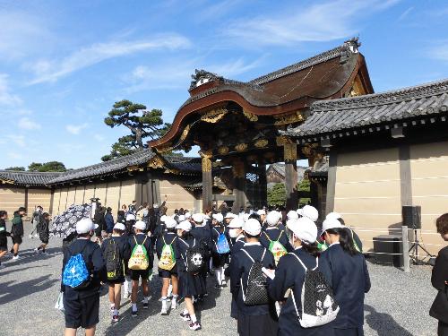 修学旅行の写真