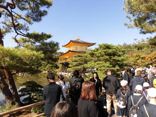 修学旅行の写真