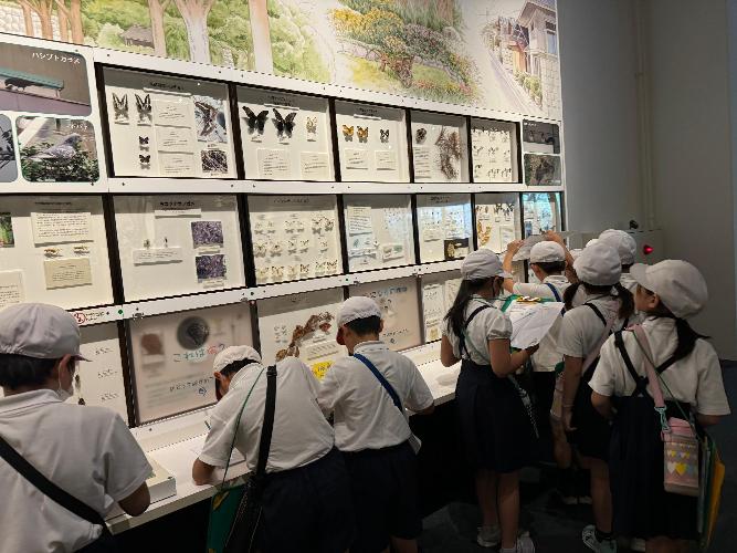 科学館にて展示物を見る写真