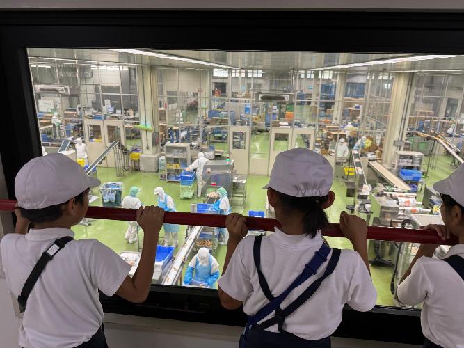 工場にて蒲鉾が作られる工程を見学する写真