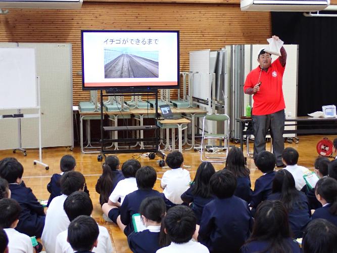 イチゴ農家の方の話を聞く子ども達の写真