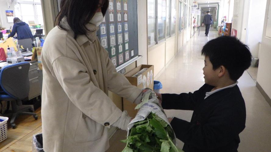 だいこんどうぞ