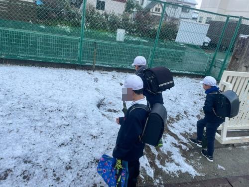 雪の写真1
