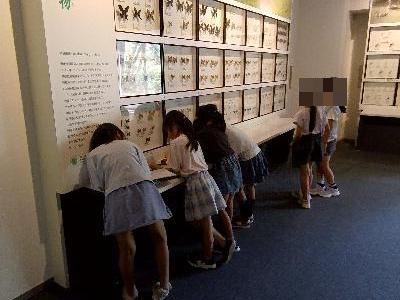 姫路科学館